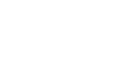 eqcho white logo
