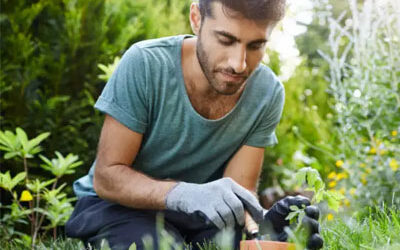 man planting seeds in a garden