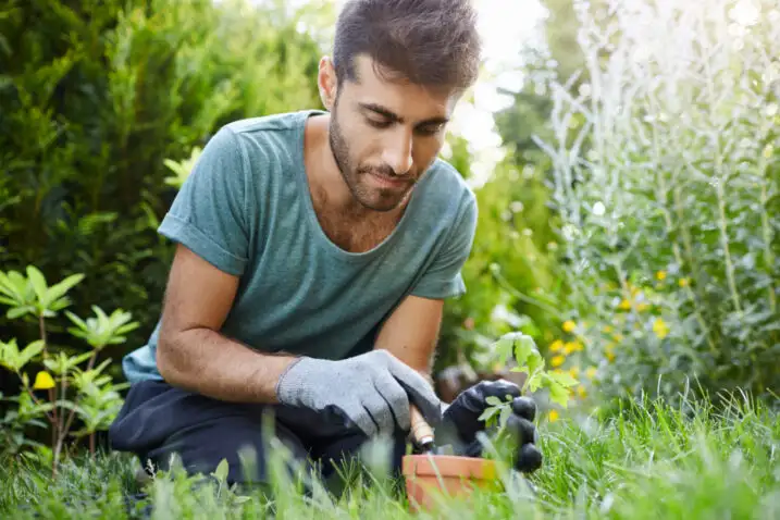 man tending the garden